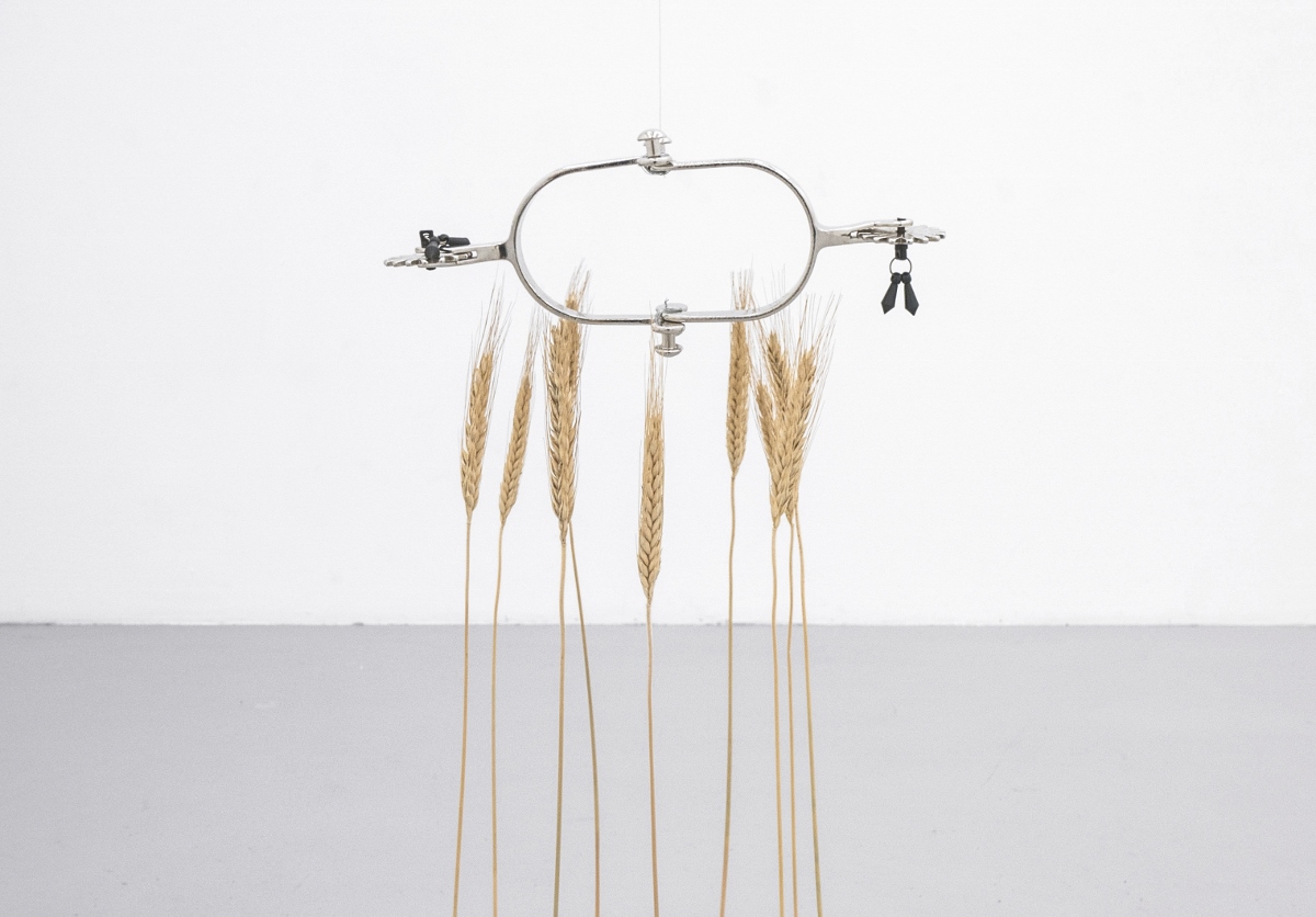 Adam Cruces – Rustic Murmur